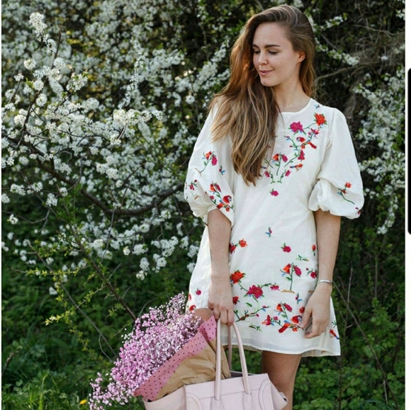 Zara Dresses & Skirts - Zara Cotton Silk Blend Balloon Puff Sleeve Floral Embroidered Mini Dres